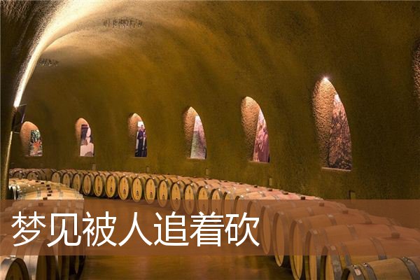 被人追着砍