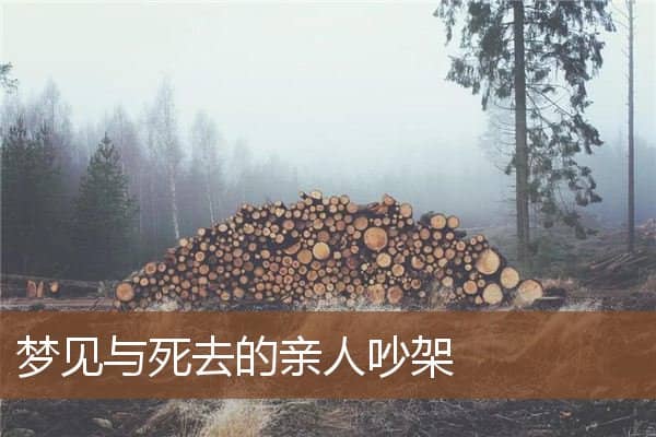 梦见与死去的亲人吵架是什么意思