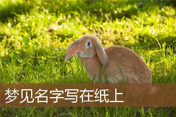梦见名字写在纸上是什么意思