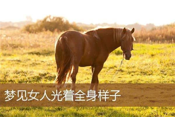 梦见女人光着全身样子是什么意思
