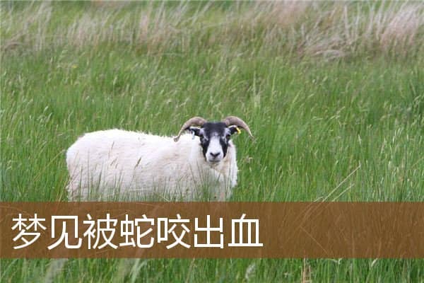 梦见被蛇咬出血是什么意思