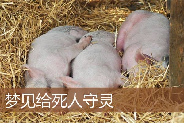 梦见给死人守灵是什么意思