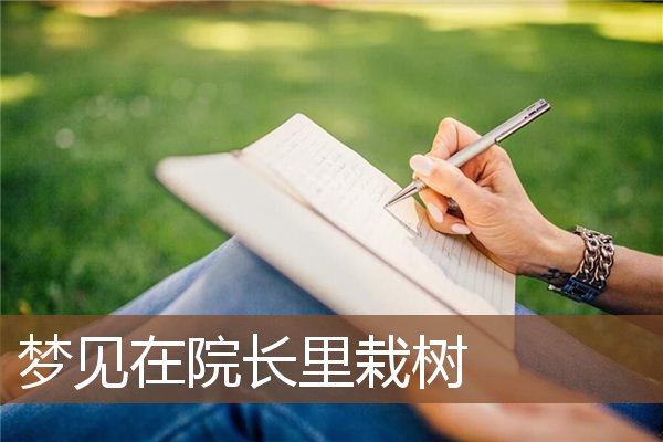 梦见在院长里栽树是什么意思