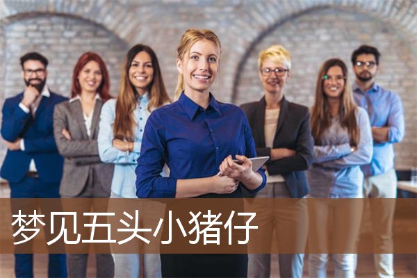 梦见五头小猪仔是什么意思