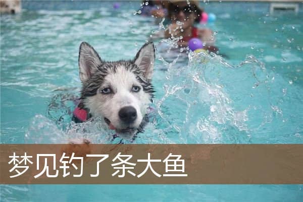 梦见钓了条大鱼是什么意思