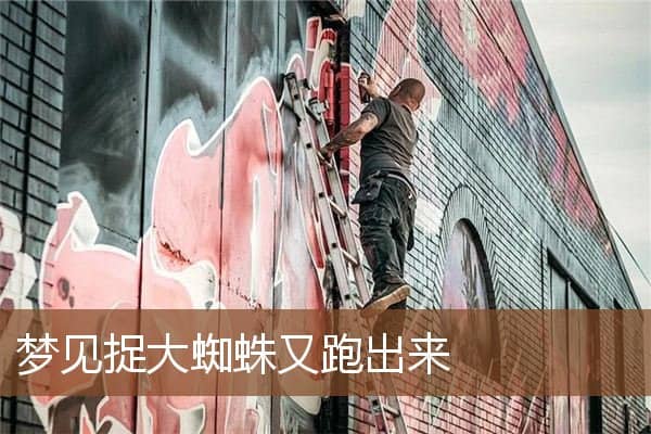 梦见捉大蜘蛛又跑出来是什么意思