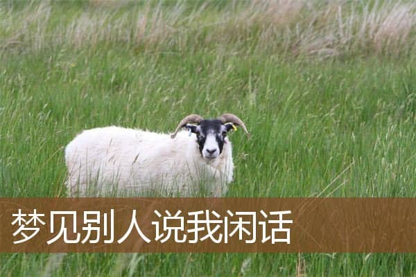 梦见别人说我闲话是什么意思