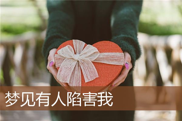 有人陷害我