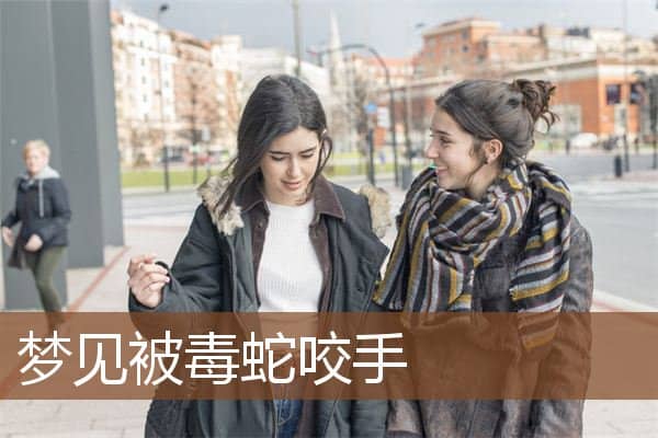 梦见被毒蛇咬手是什么意思