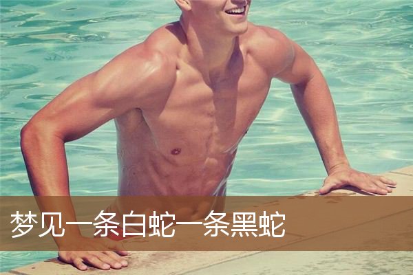 梦见一条白蛇一条黑蛇是什么意思