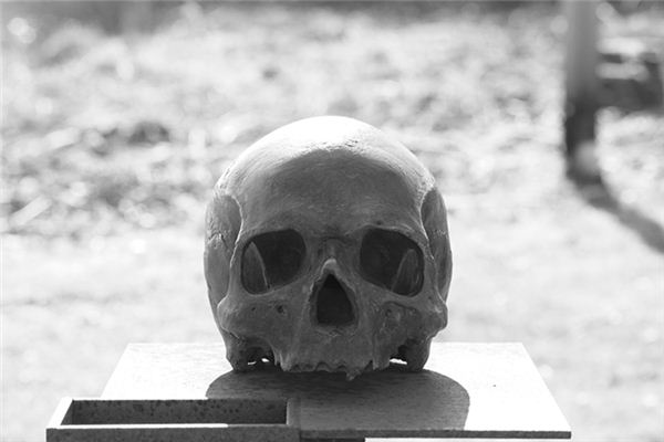 梦见死人头是什么意思