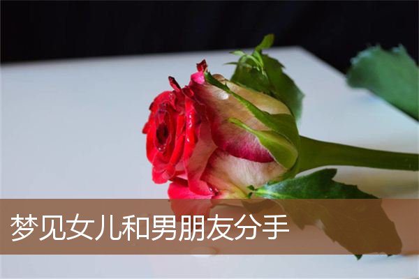 梦见女儿和男朋友分手是什么意思