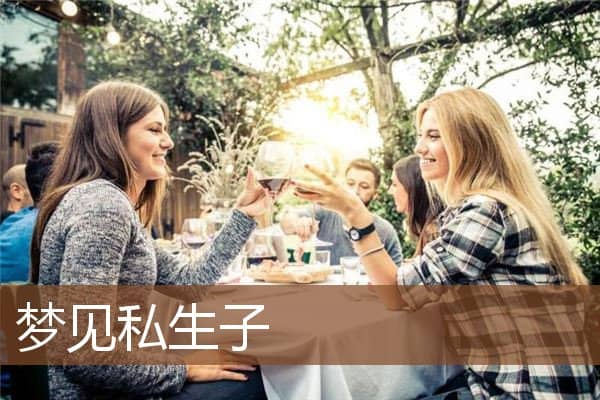梦见私生子是什么意思