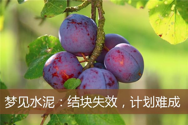 梦见水泥：结块失效，计划难成