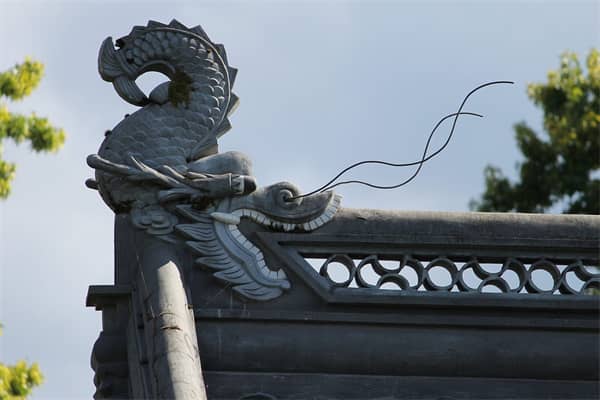 梦见假龙是什么意思