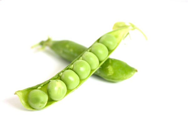 梦到了摘豌豆是什么意思