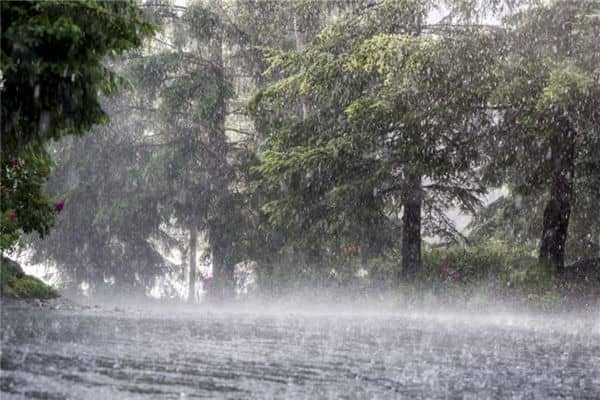 梦见狂风暴雨将要到来