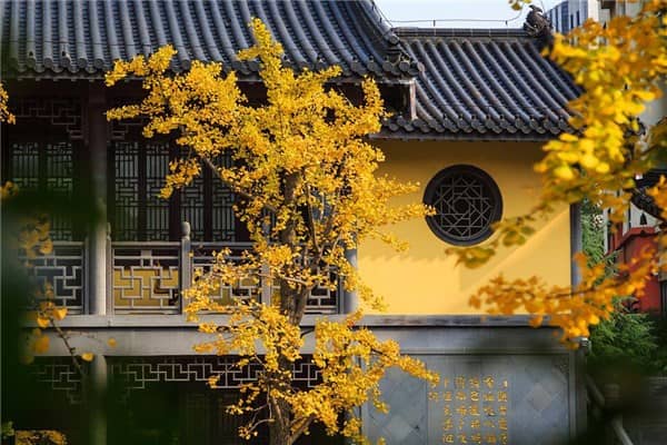 梦到了尼姑庵是什么意思