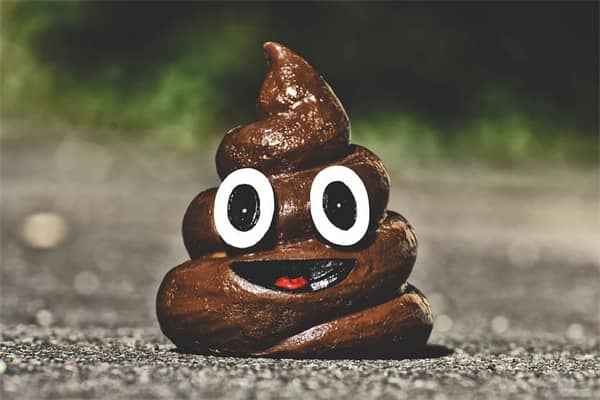 梦见一身大便是什么意思