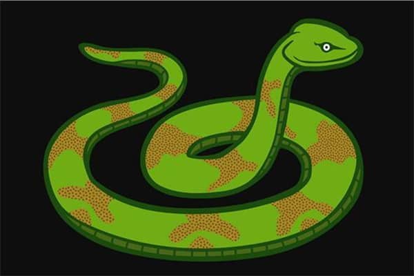 梦见断头蛇是什么意思