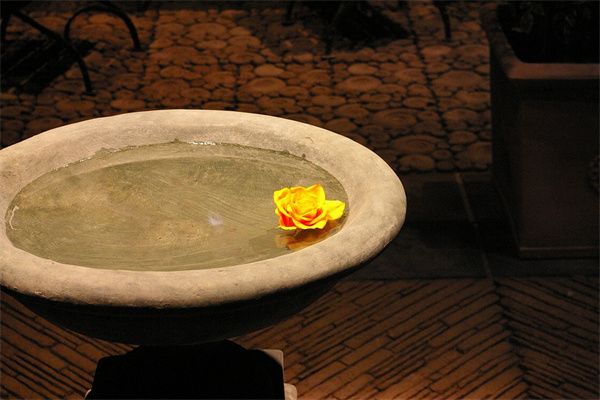 梦到木盆