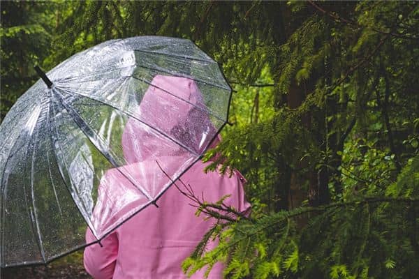 梦见下雨买伞