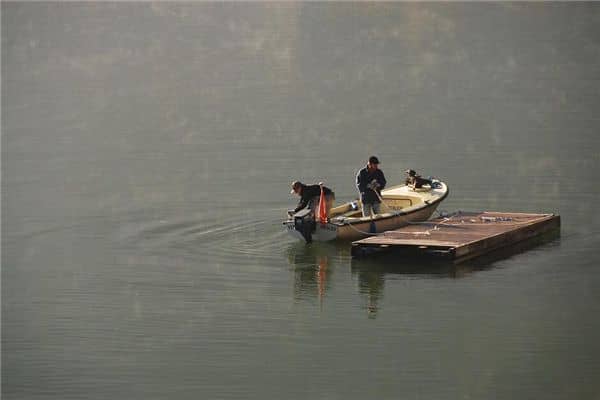 梦见海里抓鱼